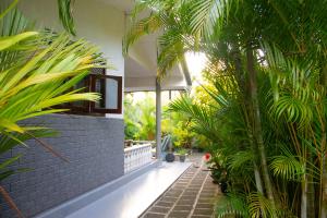 The Comfortable Coconut House
