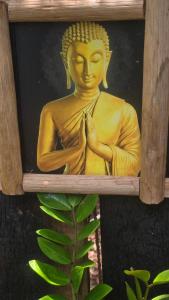 Cascara Beach Resort