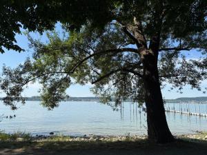 Ferienwohnung an der Keller-Werft