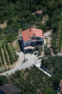 Farm stay Domačija Butul