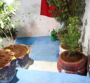 كهوف يحيى لسياحة والمبيت البهاليل