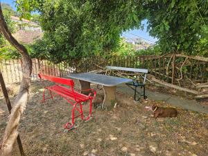 Quinta de Sobre a Fonte Charming Apartments - traditional winery