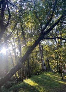 Casa Celia Camino Portugues