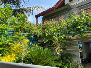 Bertys Cottage Home Stay