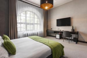 BRYK Hotel - Maestro