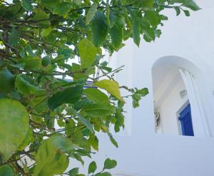 Yiannis Studios Paros Greece