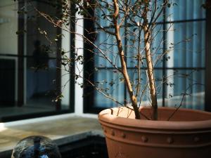 Theolive Arrea - Spacious Private Pool and Backyard