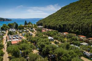 MASLINICA Oliva Camping