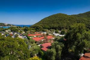 MASLINICA Oliva Camping