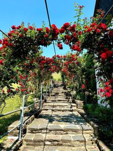 Winelicious - Arrive & Enjoy