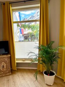 Winelicious - Arrive & Enjoy