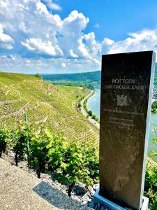 Winelicious - Arrive & Enjoy