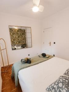 The Dorado Apartment