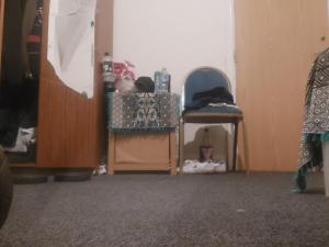 One separate bedroom For Gents Only No Drinks alcohol at all