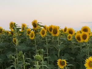 Chambres Au Calme, À La Campagne