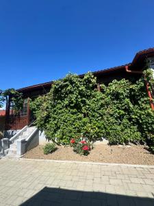 Apartament Salina Turda