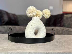 Cozy 1 Bedroom apartment hypercentre