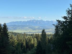 Apartament Zielone Wzgórze