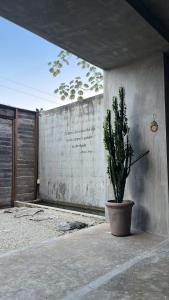 The 44, Fabulous villa for 19 guests in Playa del Carmen