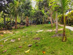 Homestay Natural Paradise habitación 2