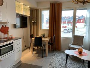 Centrum studio with sauna, Levi