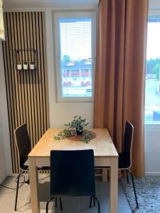 Centrum studio with sauna, Levi