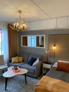 Centrum studio with sauna, Levi