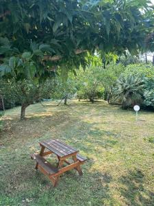 belle maison 8 personnes - proche plages