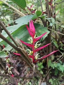 Casa de campo en medio de encantadores jardines