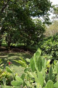 Casa de campo en medio de encantadores jardines