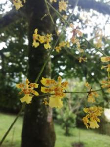 Casa de campo en medio de encantadores jardines