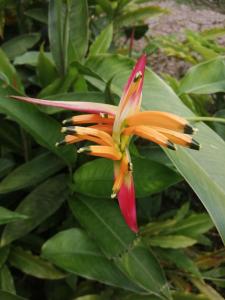 Casa de campo en medio de encantadores jardines