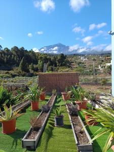 Loft Vista al Teide