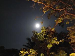 Flight search villa &Sea Food Restaurant