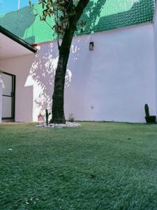 Mexico City Center -Private Garden, Pets & Parking