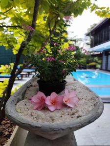 3R Resort by Blue Bird