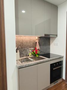 H2 vinhomes Oceanpark 1 -Nahouse