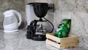 OCASSO JARDIN APARTAMENTO GALLITO DE ROCA