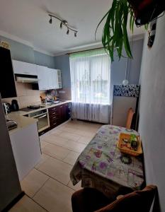 Apartament Świdnicka