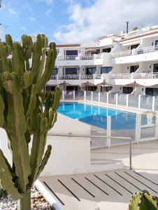 Aguamarina Apartment - Los Diamantes 2