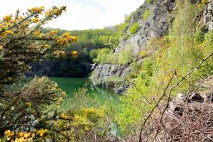 16th Century Cottage With Ancient Woodland Views