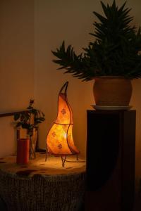 16th Century Cottage With Ancient Woodland Views