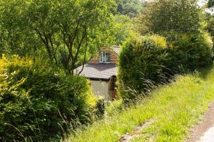 16th Century Cottage With Ancient Woodland Views