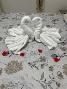 Corso Italia Holiday Home