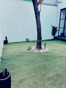 Mexico City Center -Private Garden, Pets & Parking