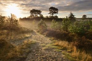 Chalet het zonnehuisje 3 slaapkamers