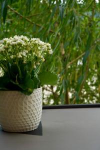 Hanguloft - The cozy cabin by the lake