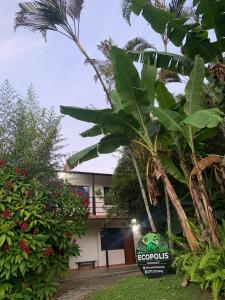 balcones de 3 habitaciones en ecopolis el queremal