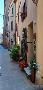 il Cantuccio