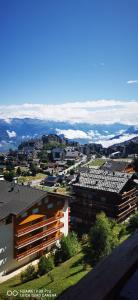 Grand panorama 10